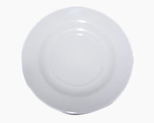 Plastic Dish