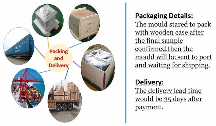 mold packaging.jpg_.webp.jpg