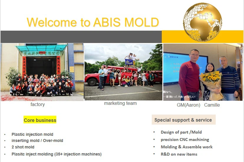 ABIS MOLD team