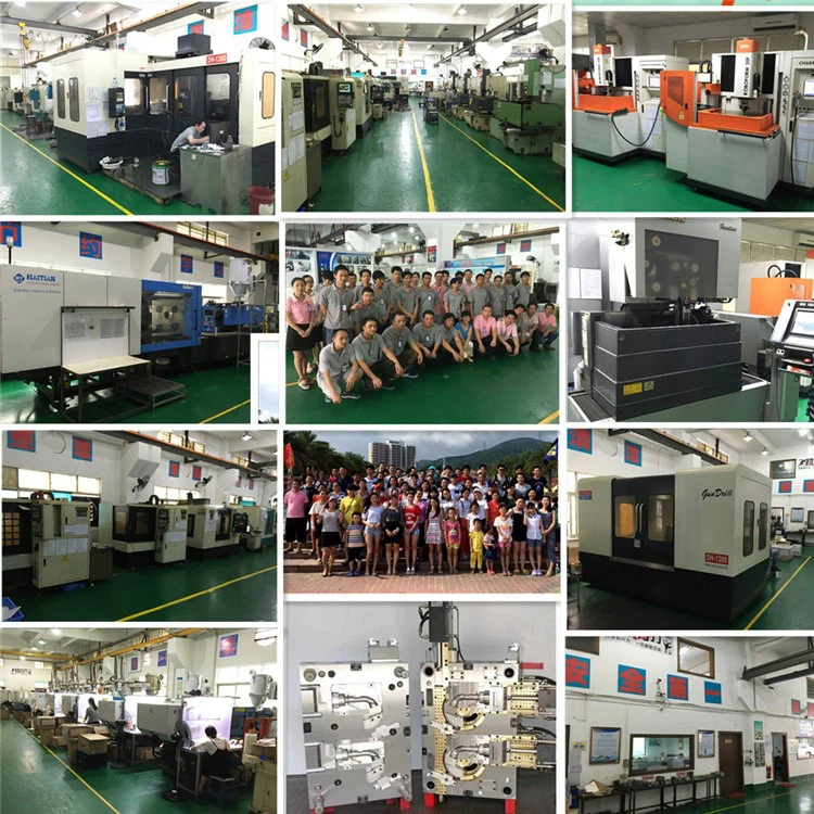 ABIS MOLD PICTURE ABIS MOLD PICTURE