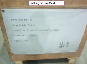 China Injection Plastic Cap Mold