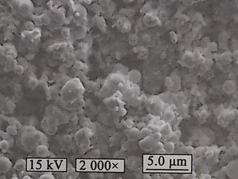 Figure 3.6 SEM image of typical thermally decomposed carbon-based iron powder Figure 3.6 SEM image of typical thermally decomposed carbon-based iron powder